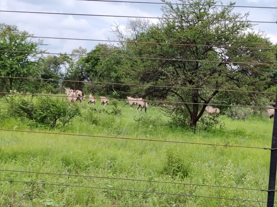 6 Bedroom Property for Sale in Zeerust North West